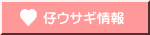 仔ウサギ情報