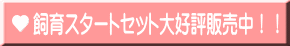 飼育スタートセット大好評販売中!!